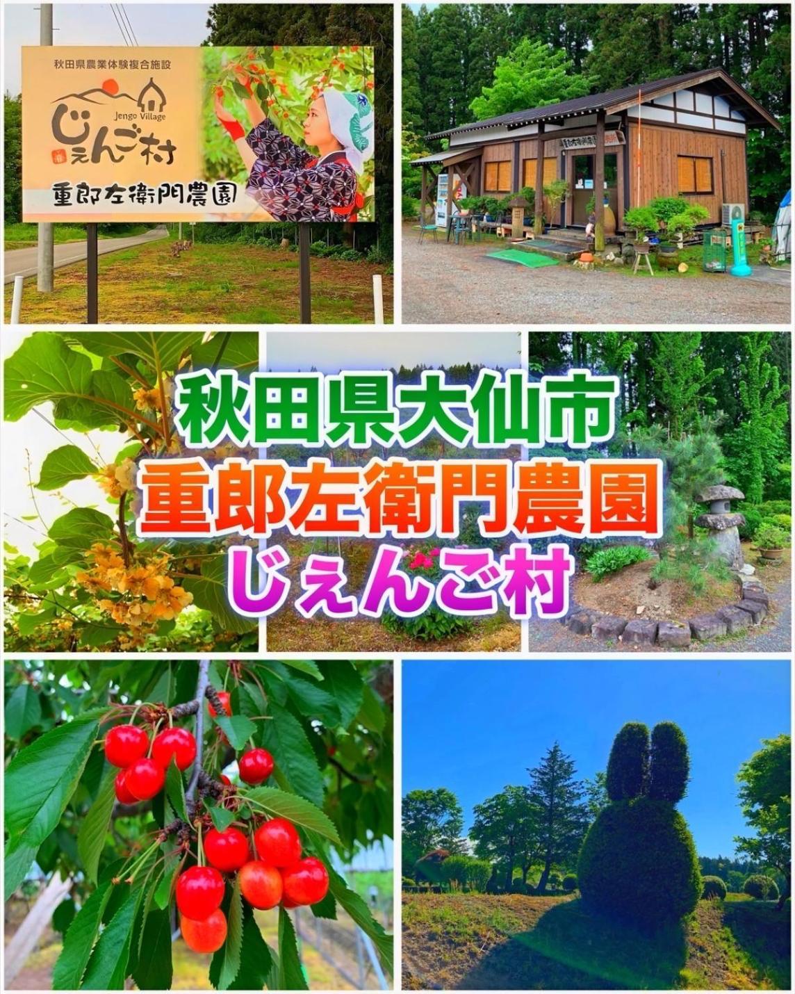 Hotel Dolphia-Adult Only Daisen  Eksteriør billede